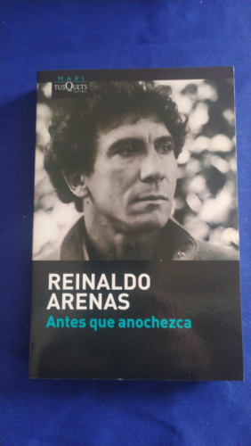 Antes de que anochezca 