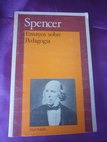 Ensayos sobre Pedagogía
