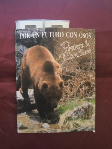 El oso pardo en la Cordillera Cantábrica (Campaña: “Por un futuro con osos. Protege la cordillera”)