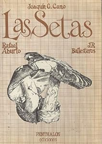 Setas, las